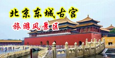 看看美女操逼吧中国北京-东城古宫旅游风景区